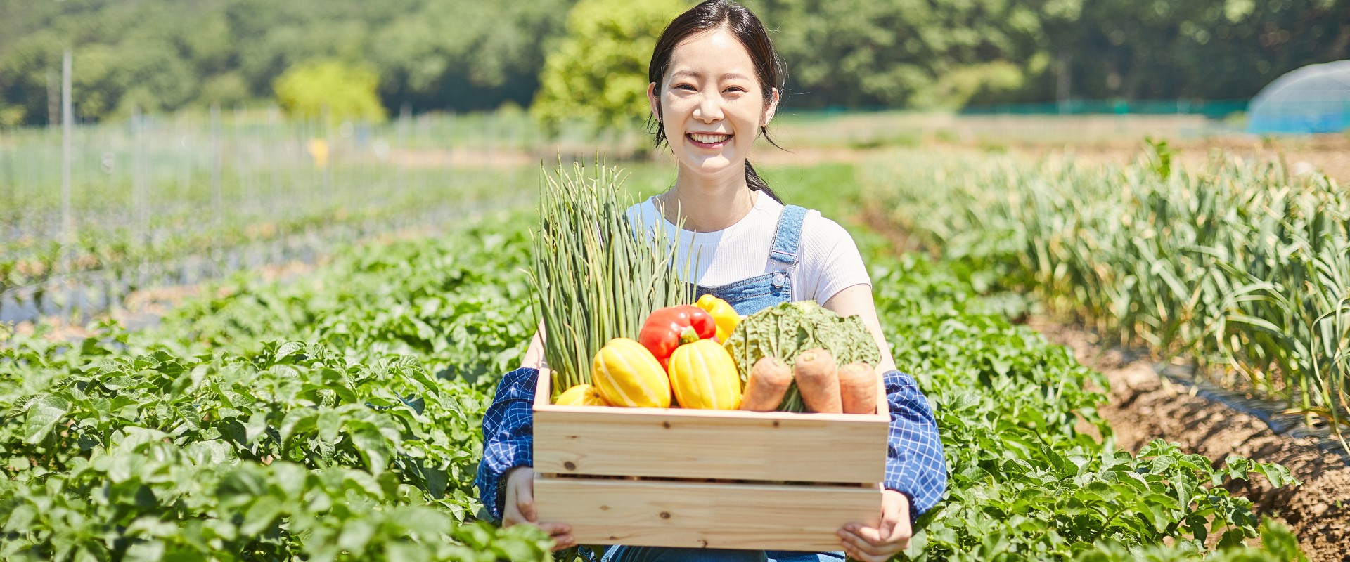 알뜰한 가격! 신선한 마트!